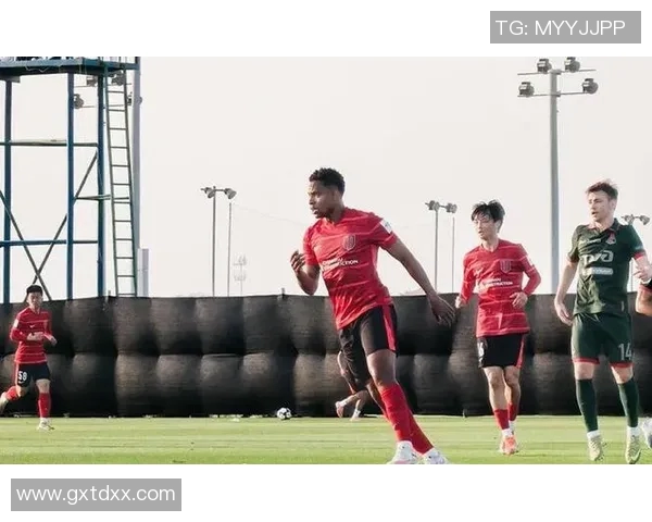 日本女排迎战阿塞拜疆力争胜利全力以赴展现团队精神与竞技风采