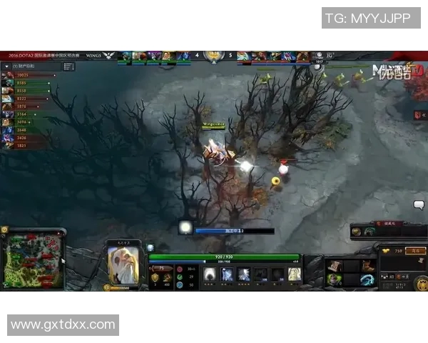 DOTA2热议IG战队耐力争议引发玩家热烈讨论与反思