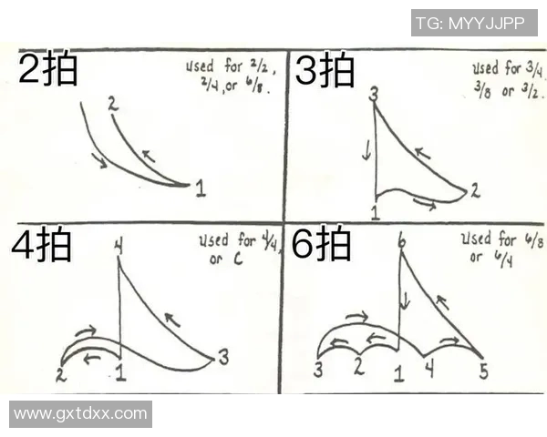 飞盘新手必看：从零开始的比赛技巧与经验分享指南